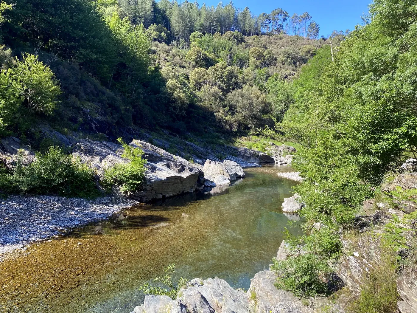 Rivière du Gardon serpentant dans la nature cévenole