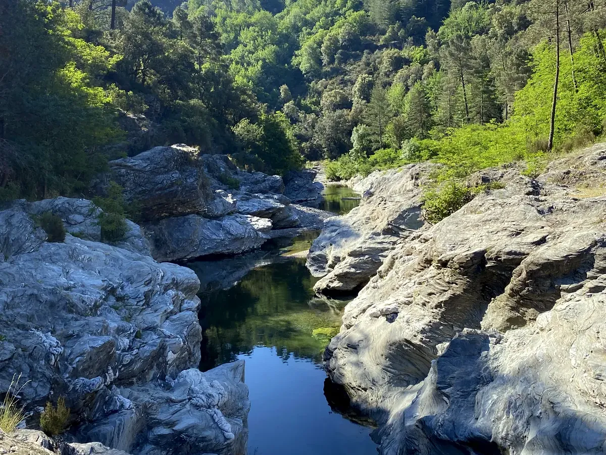 Vasques du Gardon et reflets dans un canyon préservé des Cévennes