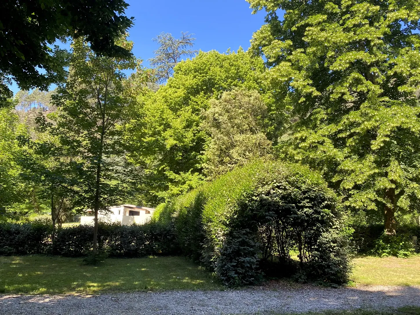 Emplacements Nature ombragés sous les arbres
