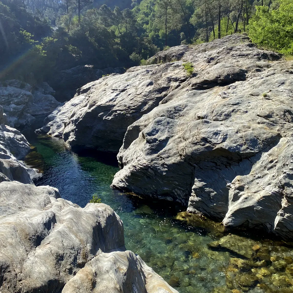 Détail de la rivière cristalline du Gardon
